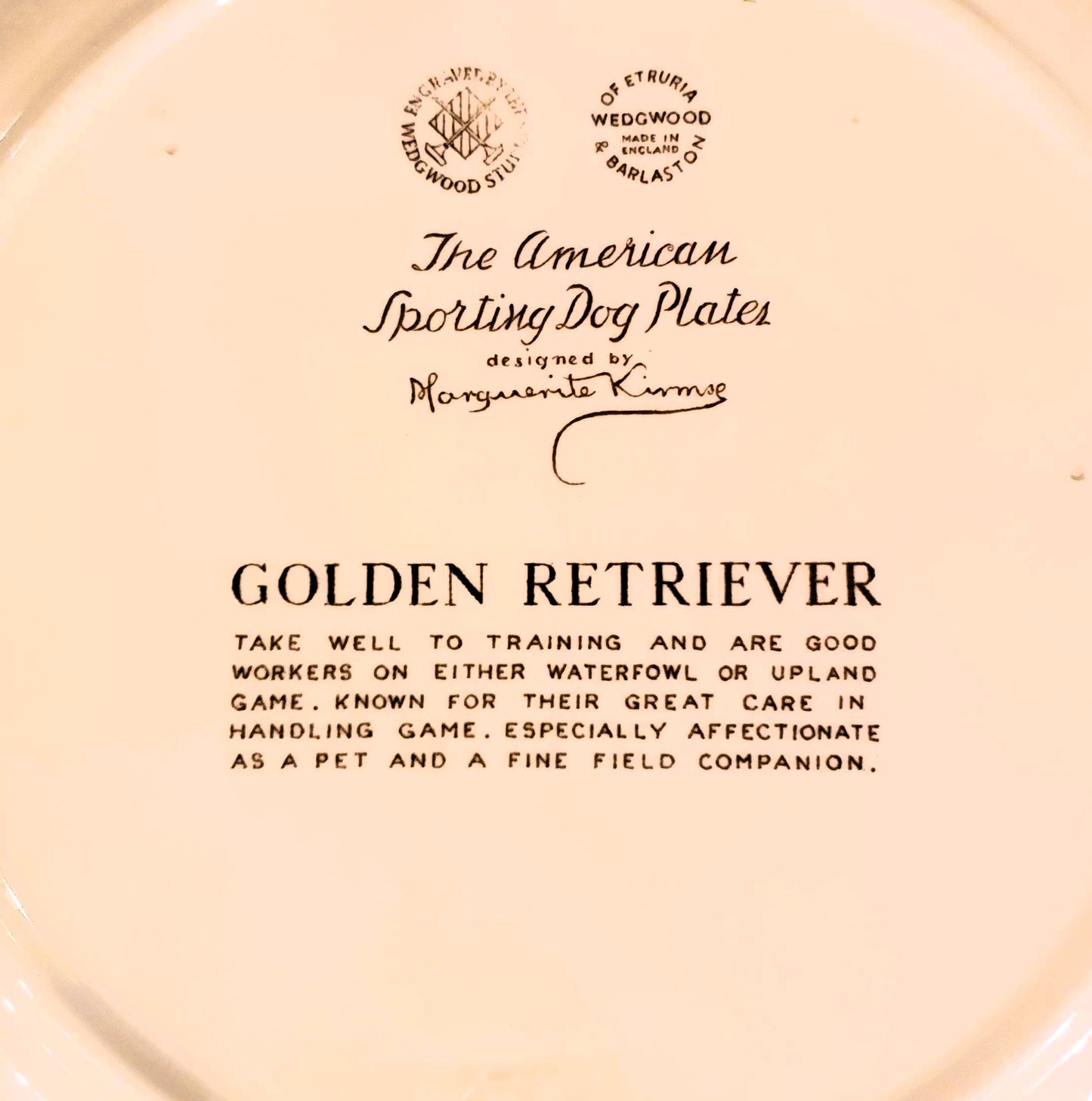 PIATTO WEDGWOOD SERIE "THE AMERICAN SPORTING DOG PLATES"