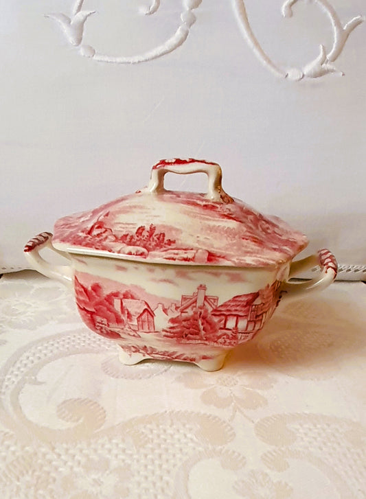 JOHNSON BROS ENGLAND SCATOLA ZUCCHERIERA IN PORCELLANA