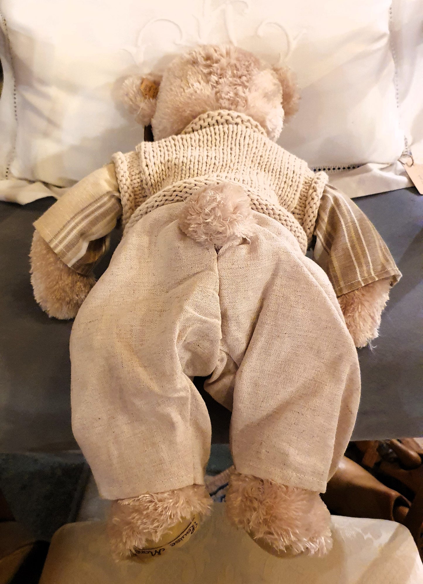 LOUISE MANSEN ORSACCHIOTTO DA COLLEZIONE