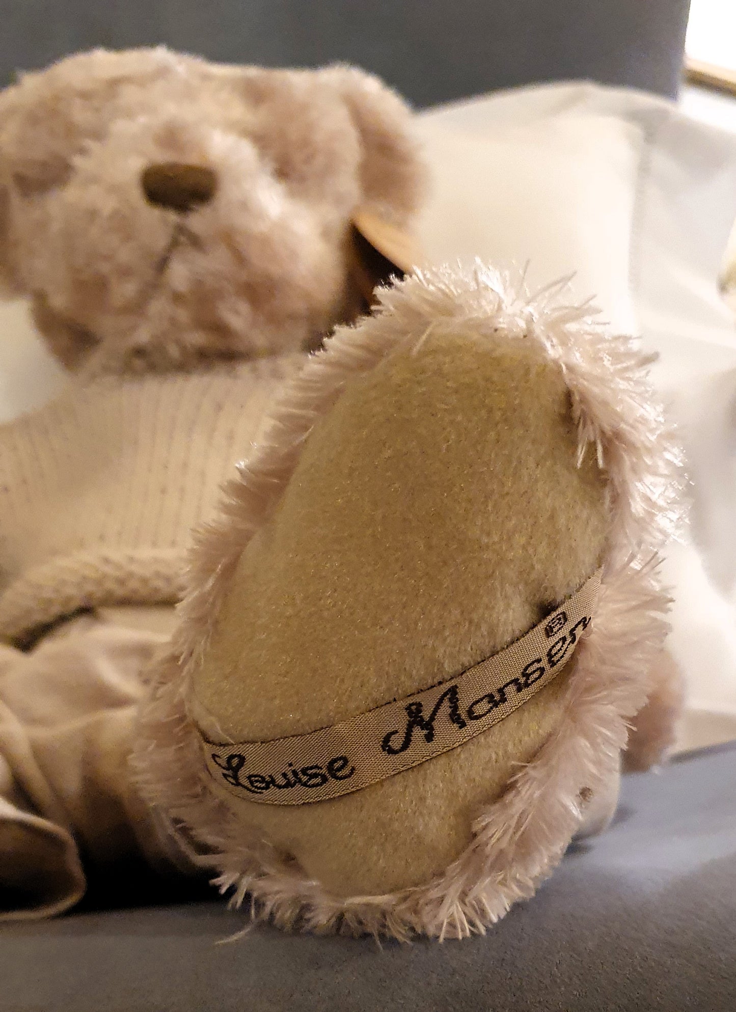 LOUISE MANSEN ORSACCHIOTTO DA COLLEZIONE