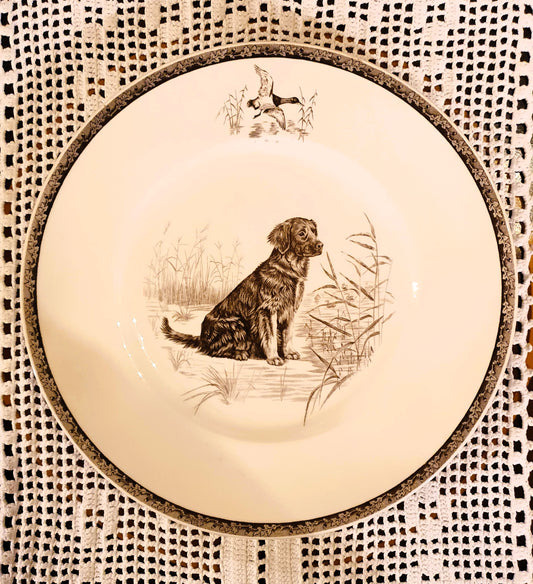 PIATTO WEDGWOOD SERIE "THE AMERICAN SPORTING DOG PLATES"